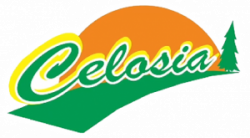 Say Hello Buat New Celosia – Taman Bunga Celosia